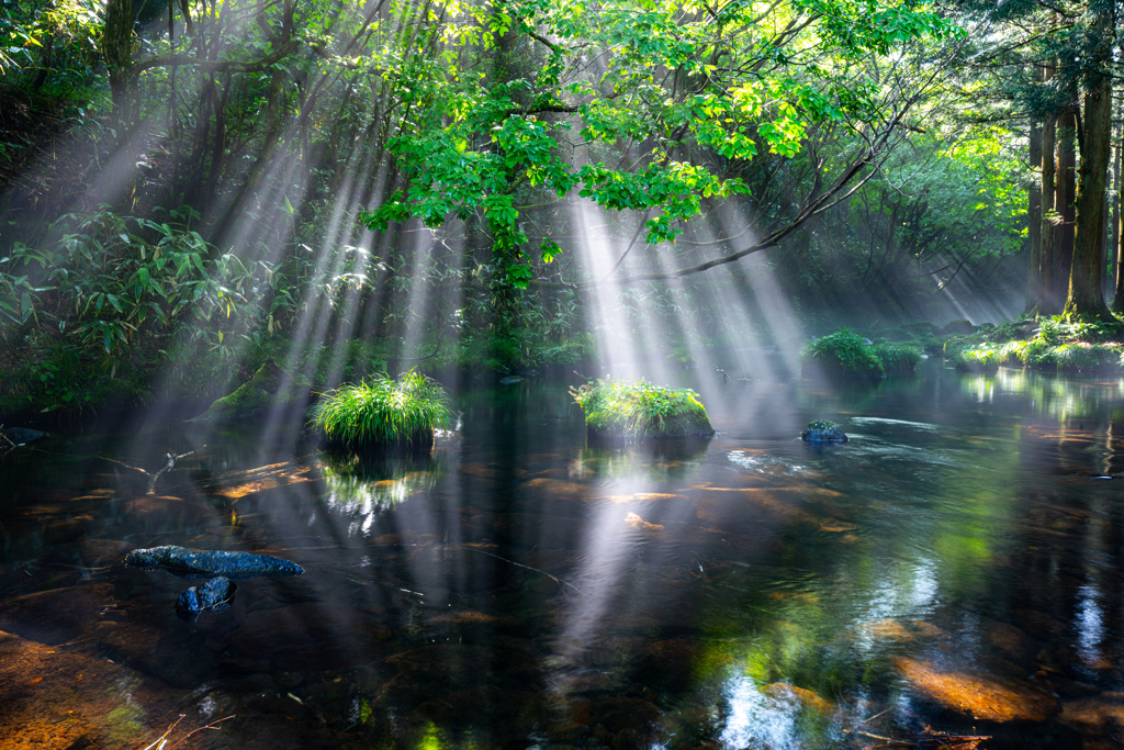 Reflection