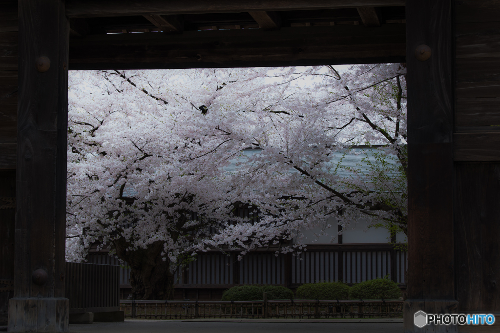 Frame