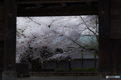Frame