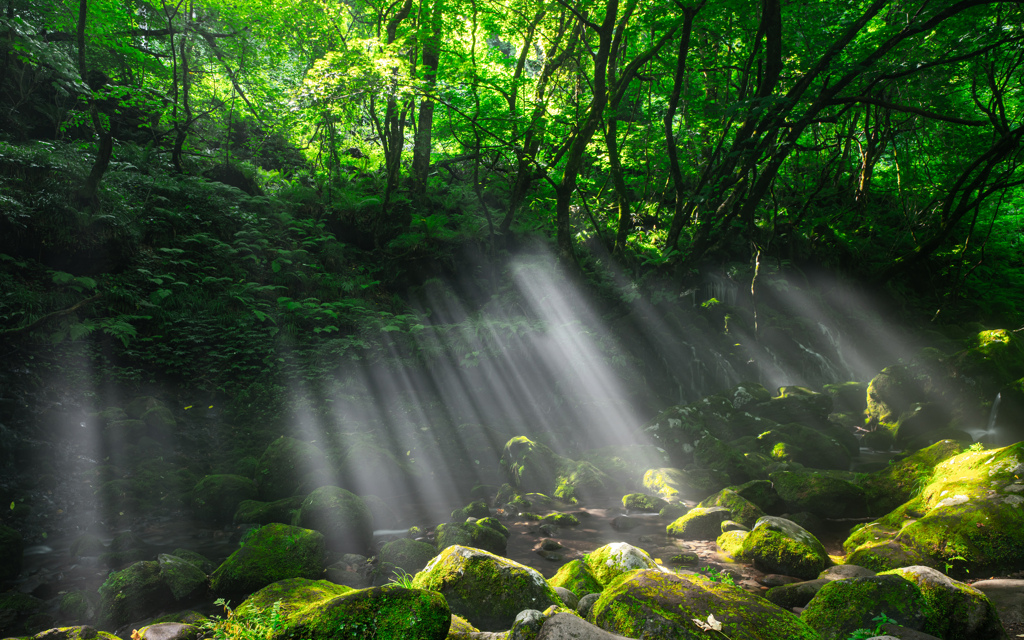 Waterfall of light