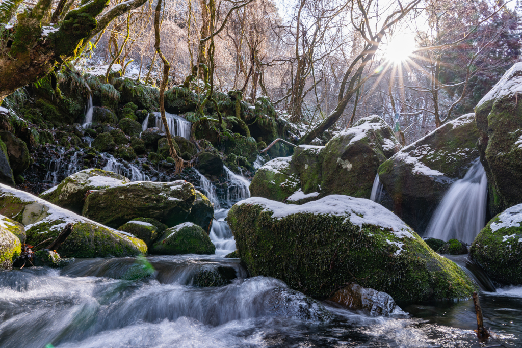 winter sunshine