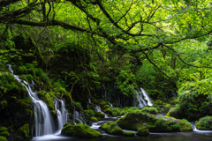 Green space