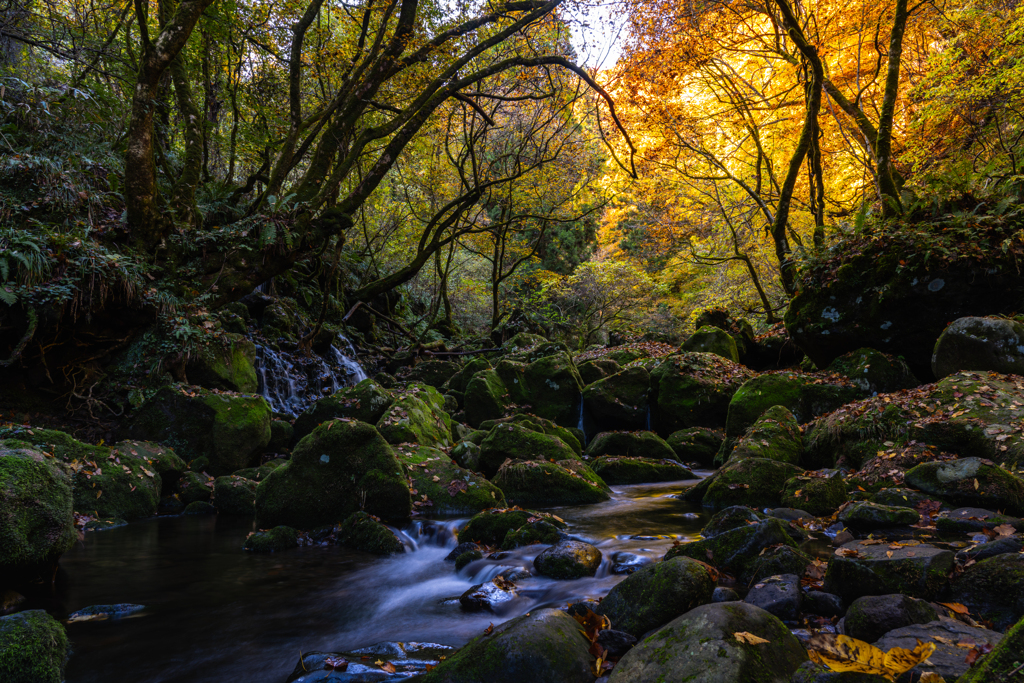 autumn colors