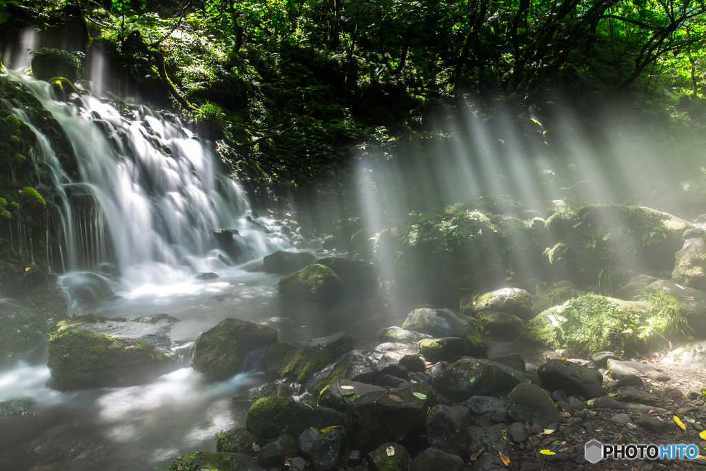 Morning light ～ Mototaki ２