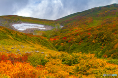 Autumn Color Mt.Cyoukai