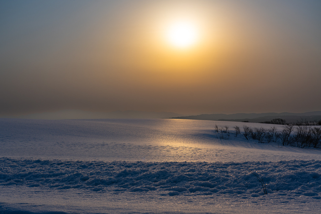 Morning light