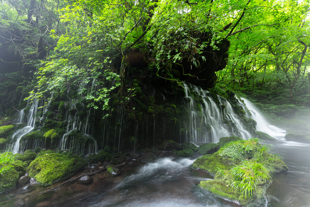 Mist flow