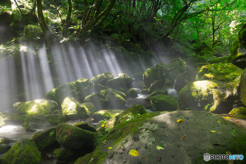 Morning light ～ Mototaki ３