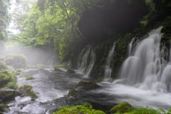 River fog