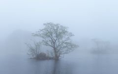 Misty