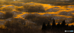 Yellow line