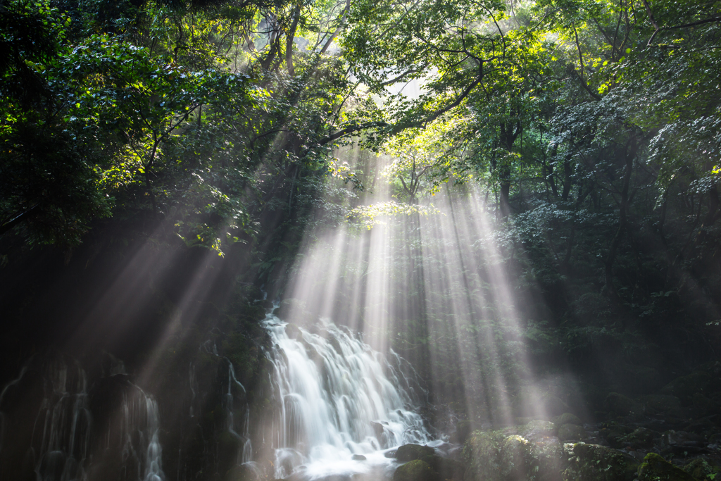 Rain and light