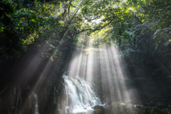 Rain and light