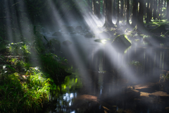 light