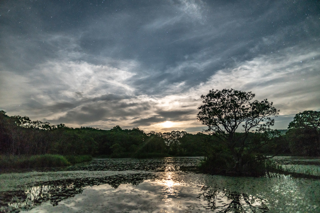 Moonrise