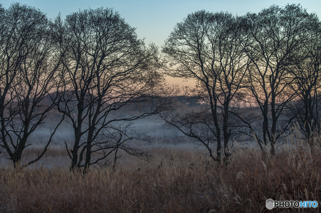 In the morning ～ Toushi ４