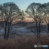 In the morning ～ Toushi ４