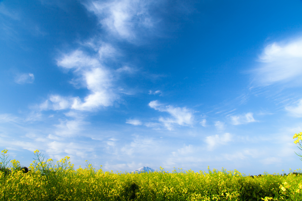A cloud drifts