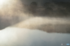 Morning mist