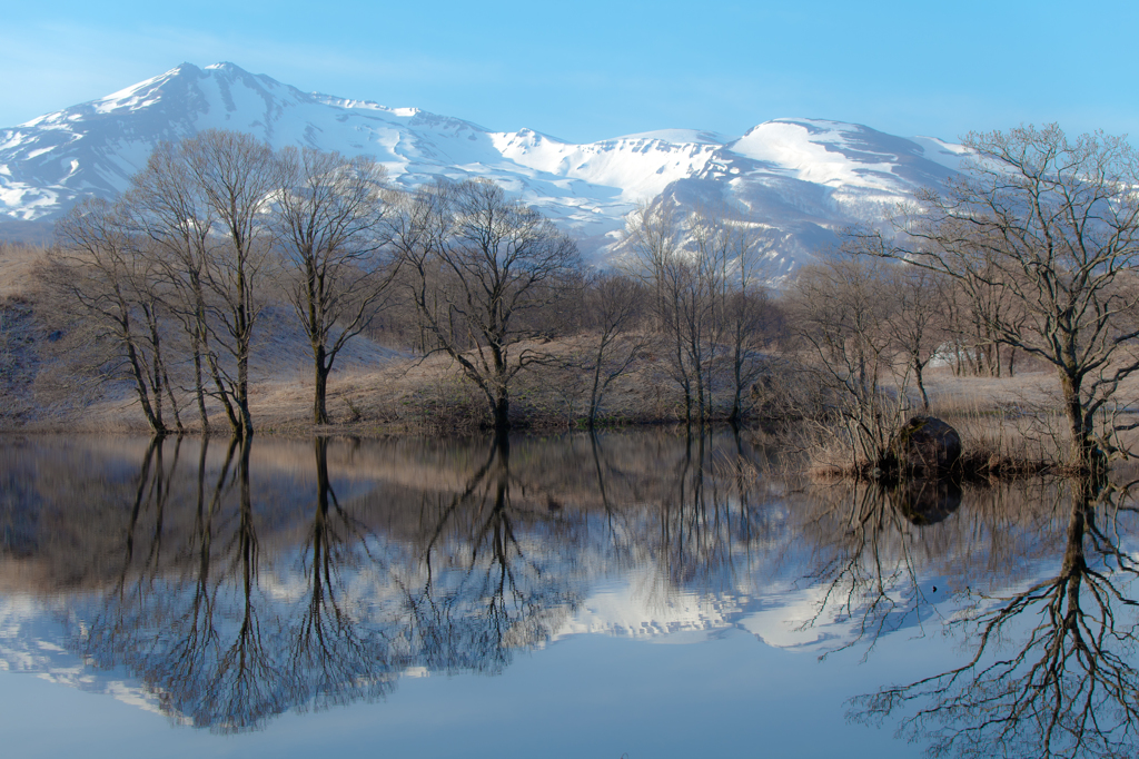 Spring, Mt.Chokai