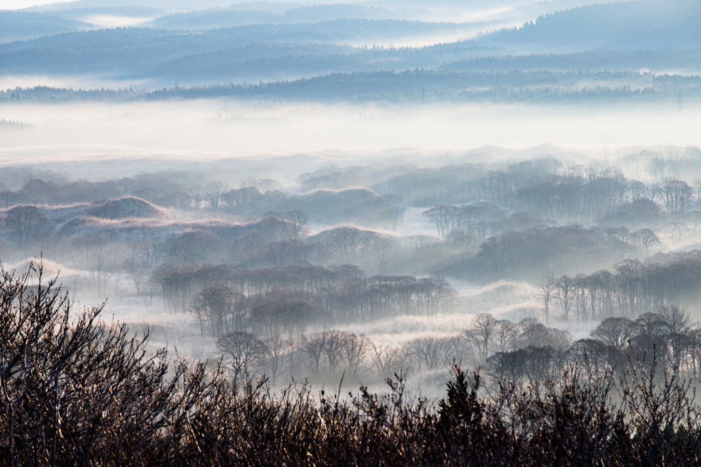 Early winter