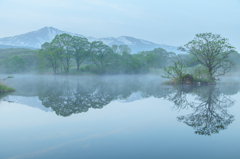 Spring morning Mt.cyoukai 2