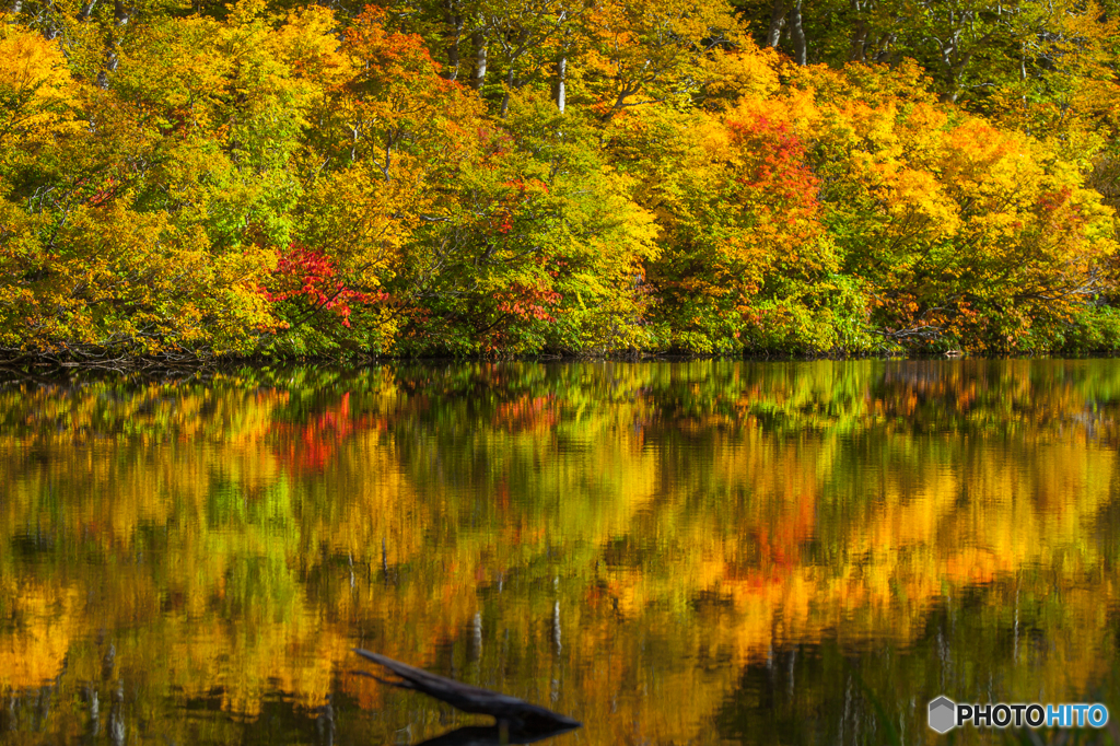 Autumn ridge ～ Zennjinnnuma