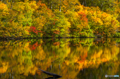 Autumn ridge ～ Zennjinnnuma