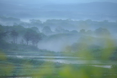 Morning mist Toushi