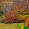 Extreme colors