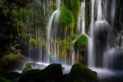 Moss rainbow