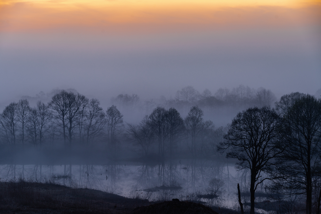Spring Mist