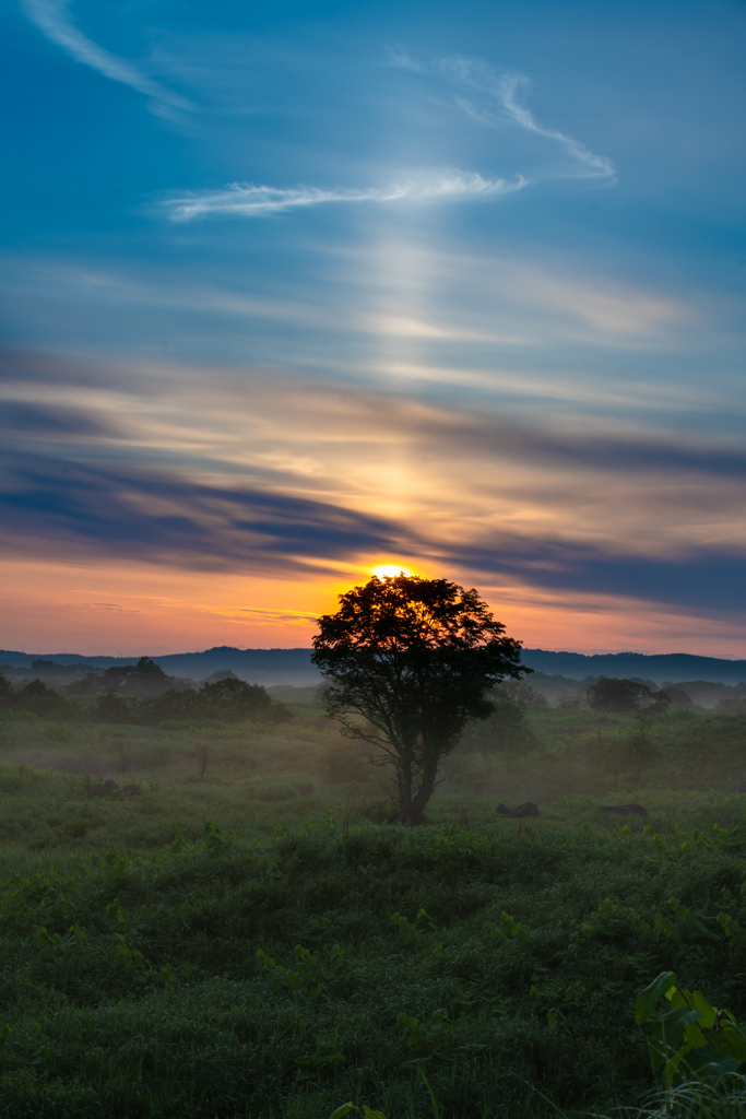 Sun pillar