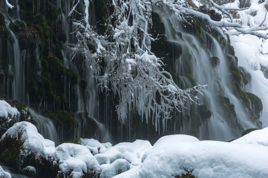 Icicle