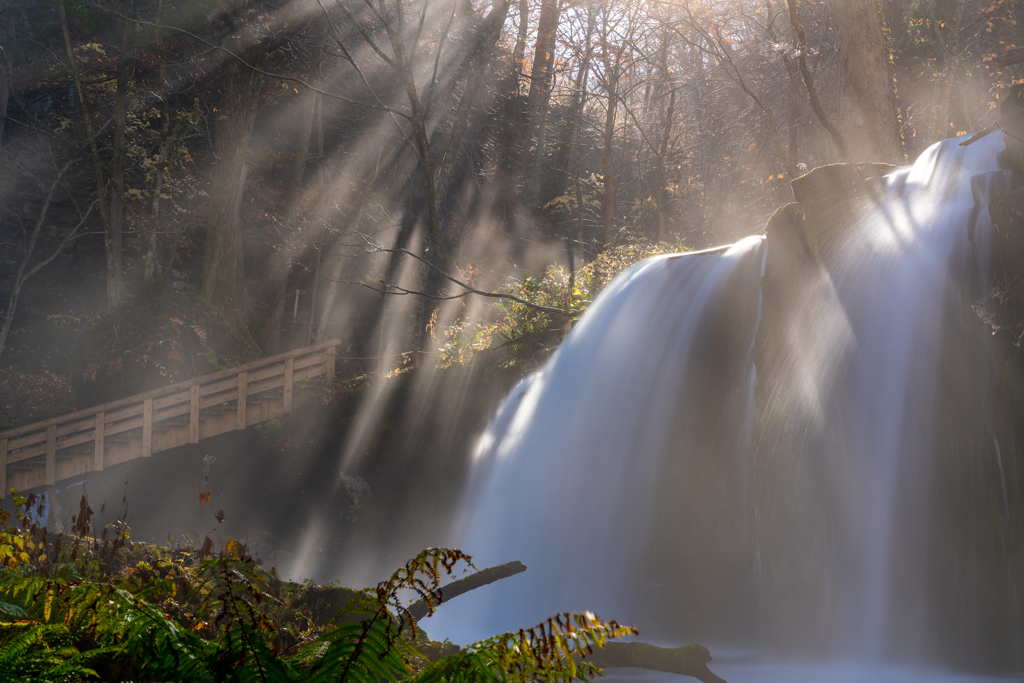 Morning shower
