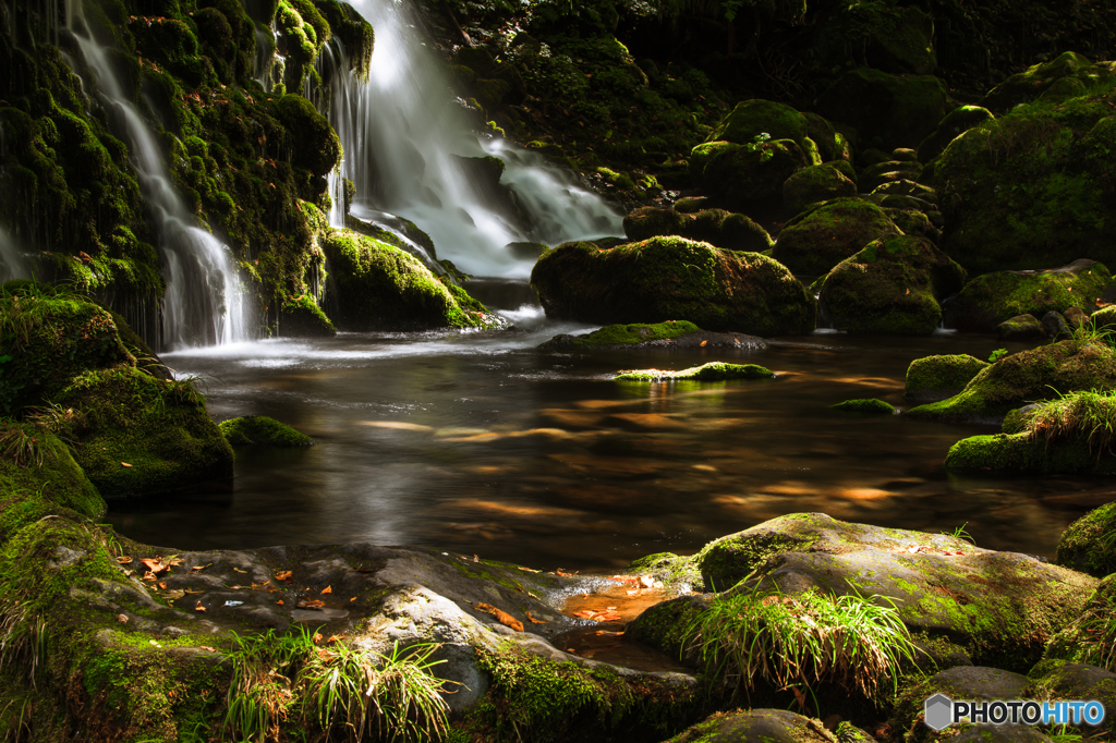 Autumn light ～ Mototaki