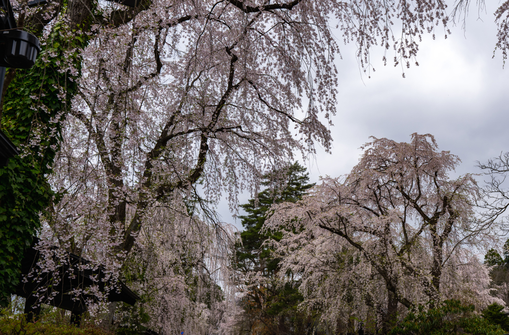 Kakunodate