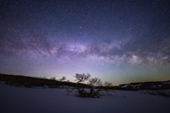 See the Milky Way