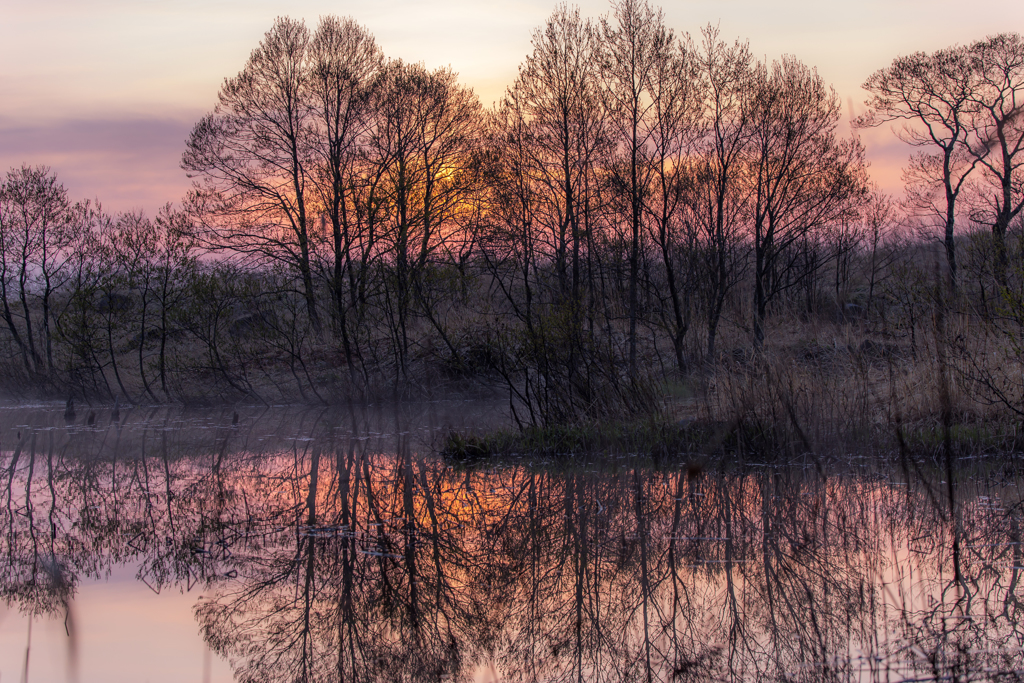 Spring sunrise