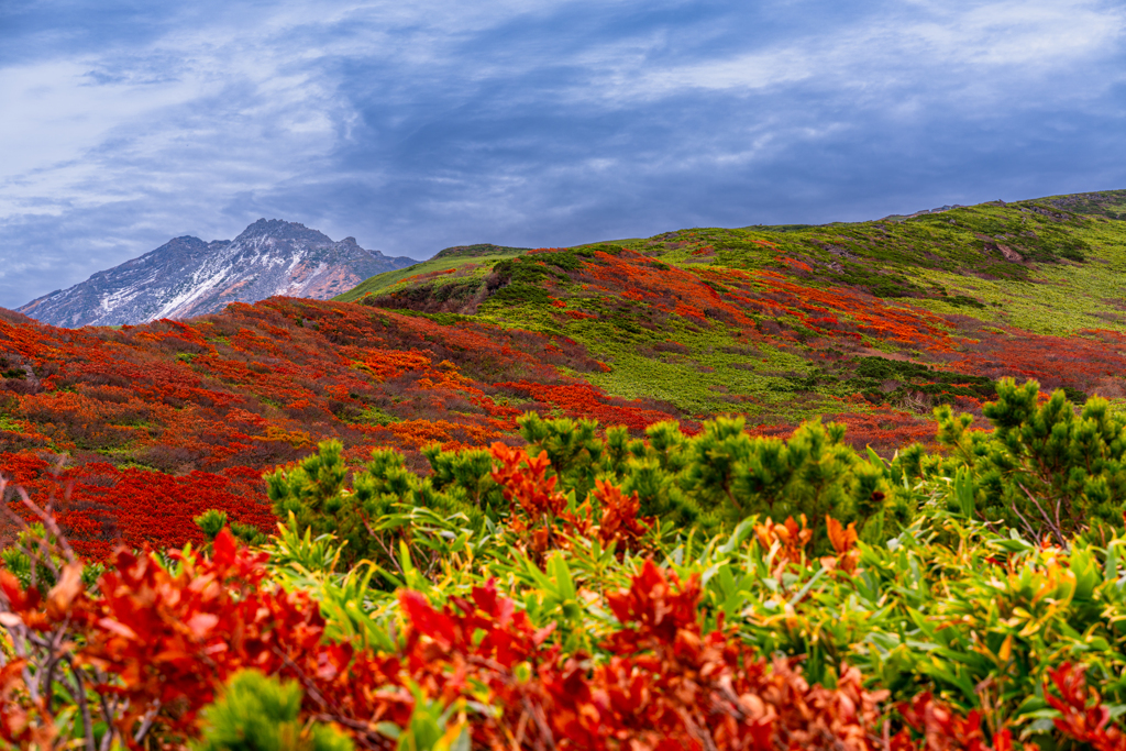 Red and Green