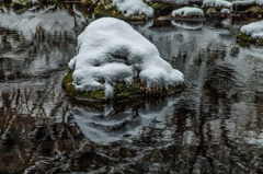 Mirror stream