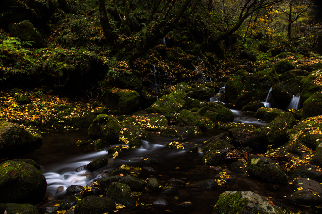 Autumnal scenery