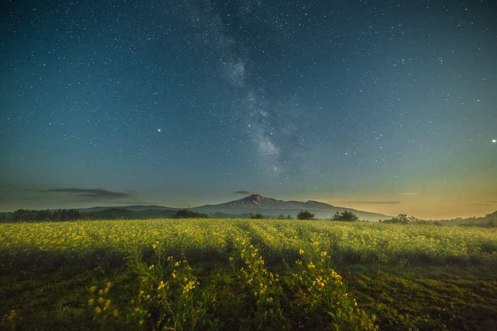 Misty Night