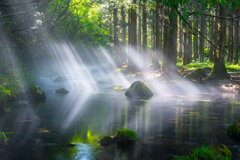 Summer Scenery