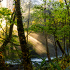 Autumn morning light