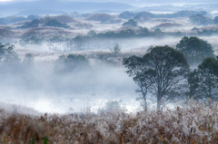 Autumn morning ~ Toushi 2