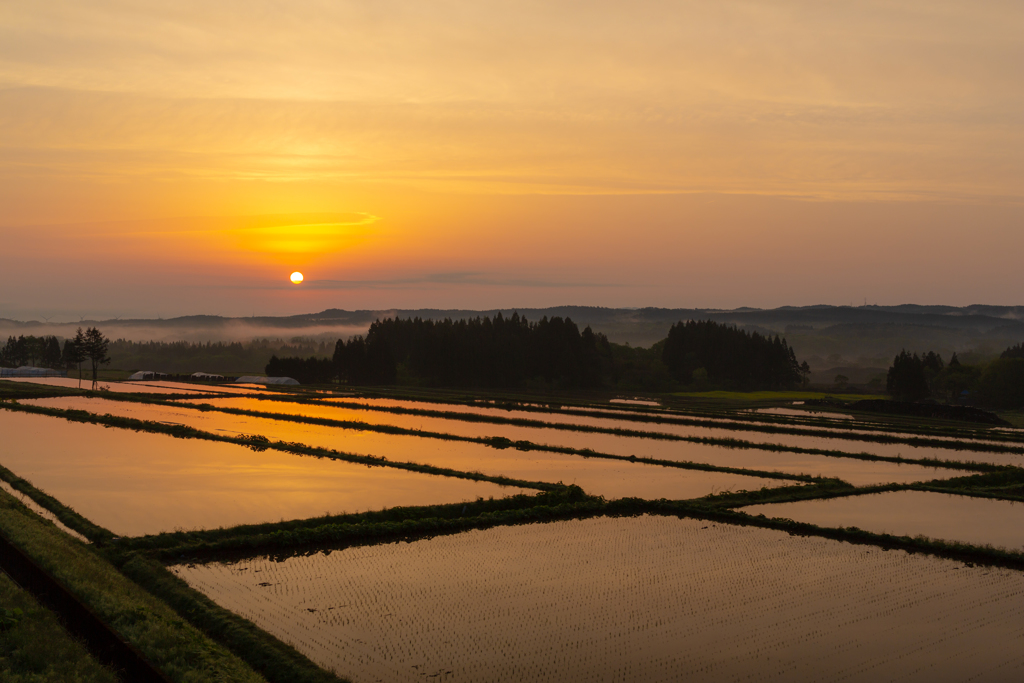 Sunrise