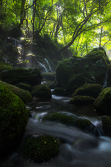 Light and flow