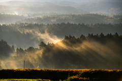 Autumn morning