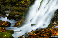 Autumn to shine ~ Mototaki